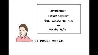 Miniature : Apprendre efficacement son cours de bio (4 sur 4)