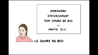 Miniature : Apprendre efficacement son cours de bio (3 sur 4)