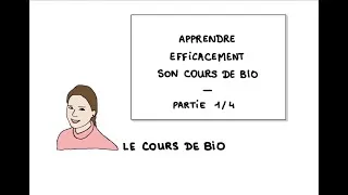 Miniature : Apprendre efficacement son cours de bio (1 sur 4)