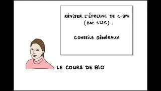 Miniature : Conseils généraux pour réviser (bac, partiels, concours ..)
