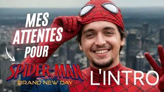 Miniature : MES ATTENTES POUR ... SPIDERMAN BND