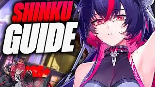 Miniature : BROKEN mais IMPARFAITE ?! Guide Complet Shinku & Build NTE