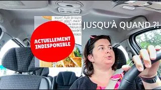 Miniature : VLOG -  de l'IA qui va nous gouverner à la tarte au fenouil, il n'y a qu'un pas.