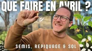 Miniature : Avril au potager : semis, repiquages et préparation du sol