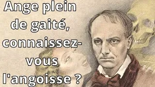 Miniature : BAUDELAIRE - Le spleen, un mal mystérieux à consoler. Les Fleurs du mal (3/3)