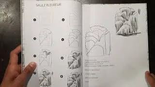 Miniature : Mon livre dessiner les arbres