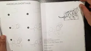 Miniature : Présentation de mon livre "Dessiner les chats"
