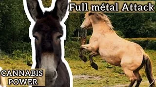 Miniature : CANNABIS POWER: Full métal attack ! #humour #chevaux 