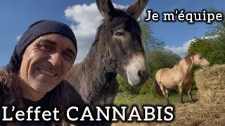 Miniature : L’effet Cannabis, je m’équipe !