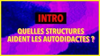 Miniature : Quelles structures aident les autodidactes ?