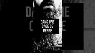 Miniature : La Zone Grise - Alexandre Guillemot 