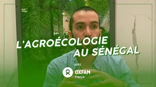 Miniature : L'agroécologie au Sénégal