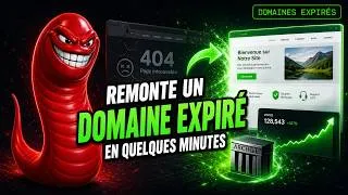 Miniature : Récupérer le Trafic d'un Site Expiré avec l'IA (Wayback + WordPress)