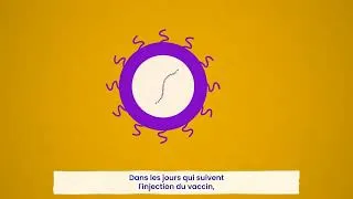 Miniature : Les vaccins à ARN - Kit enseignants Leem/France Biolead