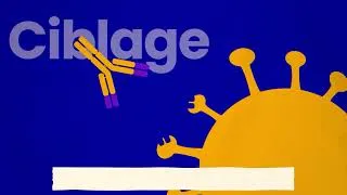 Miniature : Les anticorps monoclonaux - Kit enseignants Leem/France Biolead