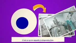 Miniature : L'insuline - Kit enseignants Leem/France Biolead