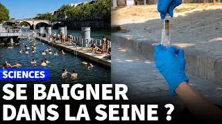 Miniature : La Seine est-elle baignable à Paris cet été ?