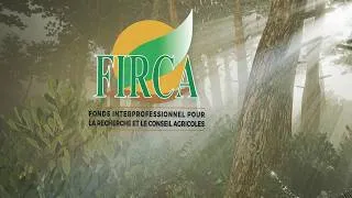Miniature : Film Institutionnel FIRCA