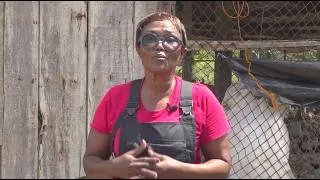 Miniature : Success story : Éleveuse modèle en aviculture, avec l'aide du FIRCA | Terre & Progrès - 30 Mai 2026