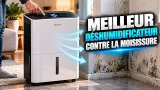Miniature : Meilleur Déshumidificateur Contre La Moisissure 2026!