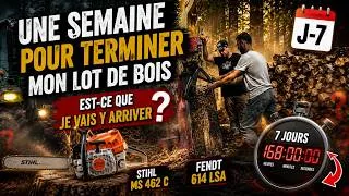 Miniature : Affouage 2025/2026 : Plus Qu'UNE SEMAINE pour Finir Mon Bois… Est-ce Que Je Vais Y Arriver ? 🌲💪
