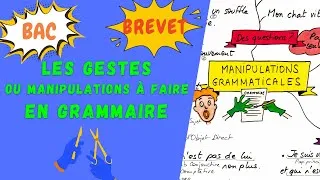 Miniature : MANIPULATIONS ou GESTES À CONNAITRE EN GRAMMAIRE pour le brevet, l'oral du bac de français 2026