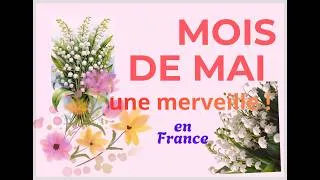 Miniature : Pourquoi MAI est le mois préféré des Français?