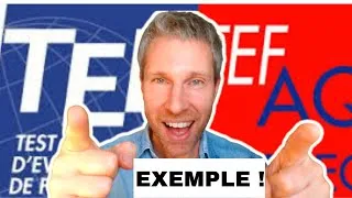 Miniature : Réussir le TEF : épreuve orale (exemple) 🤓