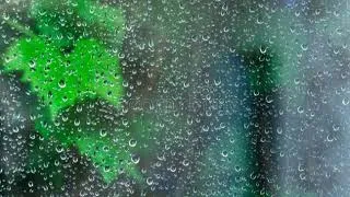 Miniature : Rain up
