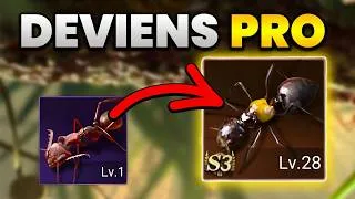 Miniature : Bien débuter sur The Ants : Guide pour débutants (jeu mobile The Ants: Underground Kingdom)