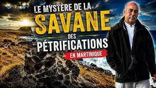 Miniature : Le Mystère de la Savane des Pétrification en Martinique