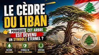 Miniature : Le Cèdre du Liban   Un Arbre, Un Peuple, un symbole