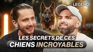 Miniature : TOUS LES SECRETS INCROYABLES DES CHIENS : ILS SENTENT LE CANCER ET VOIENT LES FANTÔMES ? ESPRIT DOG