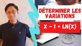 Miniature : Déterminer les variations d'une fonction Logarithme - 1ère & Terminal - Spé maths