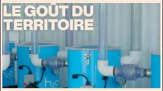 Miniature : La création d’une érablière de recherche à l’Université Laval