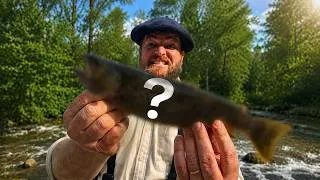 Miniature : Grosse surprise à l'ouverture du carnassier 🎣