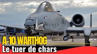 Miniature : A-10 WARTHOG : LE TUEUR DE CHARS ULTIME EST-IL DEVENU OBSOLÈTE ?