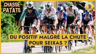 Miniature : Pour Seixas, du positif malgré la chute ? - Chasse-Patate #17