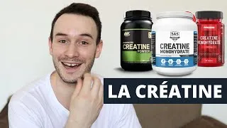 Miniature : Créatine quand on Débute la Musculation ? Le Guide Complet ✔️(Quoi ? Pourquoi ? Combien ?Laquelle ?)