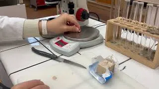 Miniature : Olympiades de Biologie : ail vs gel hydroalcoolique
