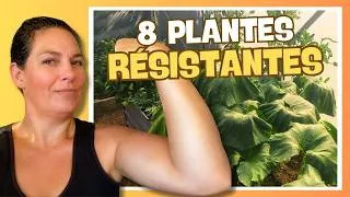Miniature : 🥵​ Chaleur et sécheresse : 8 plantes qui résistent au potager