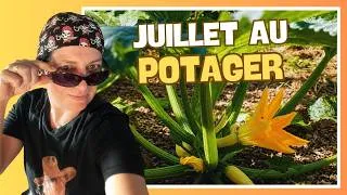 Miniature : 👩‍🌾 Juillet au potager : semis, plantations et récoltes