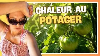 Miniature : ​☀️​​ Ombrage, paillage, arrosage : les trois piliers du potager d'été