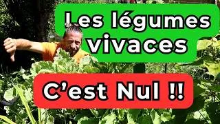 Miniature : Les légumes vivaces... c'est trop NUL !