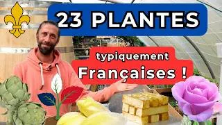Miniature : 23 plantes typiquement françaises...