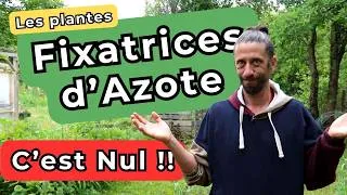 Miniature : Les plantes fixatrices d'azote... C'est NUL ! ... ou pas ?