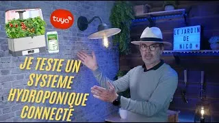 Miniature : Test d'un système hydroponique connecté