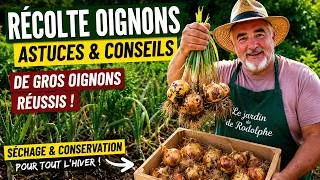 Miniature : Récolte des oignons : tous mes conseils pour réussir de gros oignons au potager