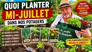 Miniature : Mi-juillet : les plantations à faire maintenant pour préparer vos récoltes d'automne
