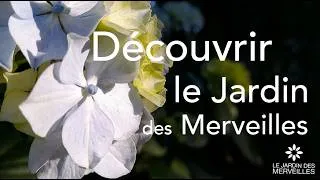 Miniature : Découvrir le Jardin des Merveilles